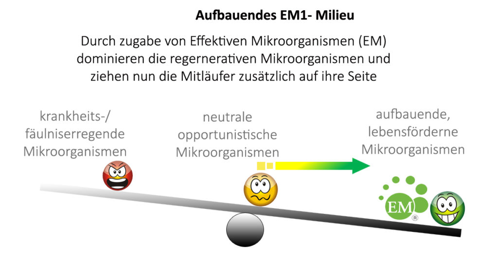 aufbauendes_EM1-milieu1